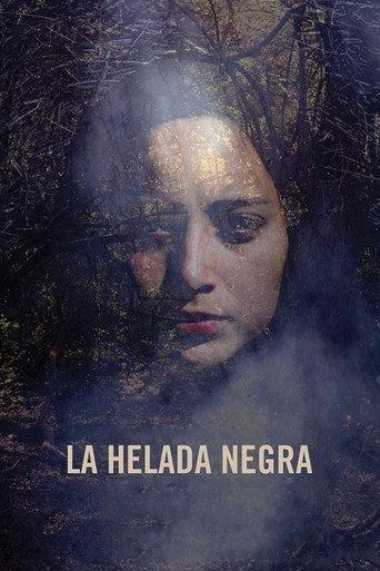 The Black Frost (2016) poster