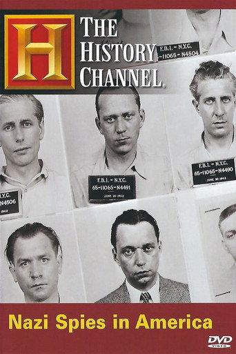 Nazi Spies in America () poster