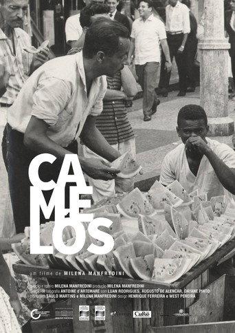 Camelôs (2018) poster