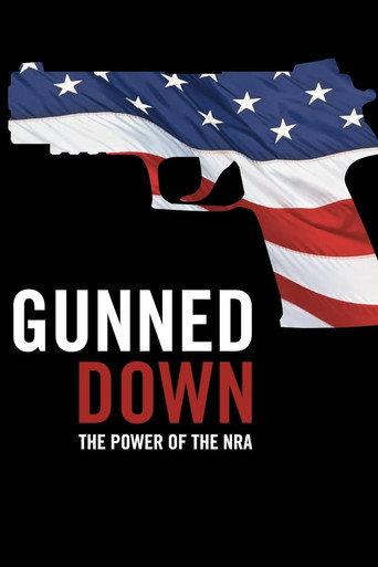 Gunned Down: The Power of the NRA (2015) poster