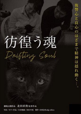 Drifting Soul (2022) poster