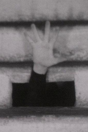 Letture n. 3 (1972) poster