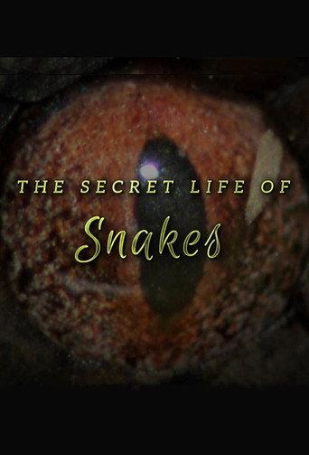 The Secret Life of Snakes (2016) poster