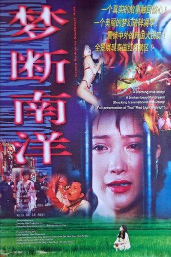 Meng duan nan yang (1995) poster
