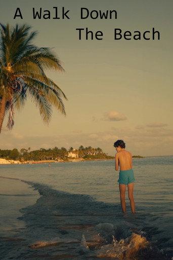A Walk Down The Beach () poster