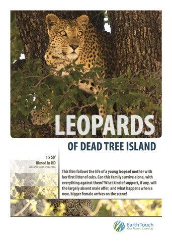 Leopards of Dead Tree Island (2010) poster