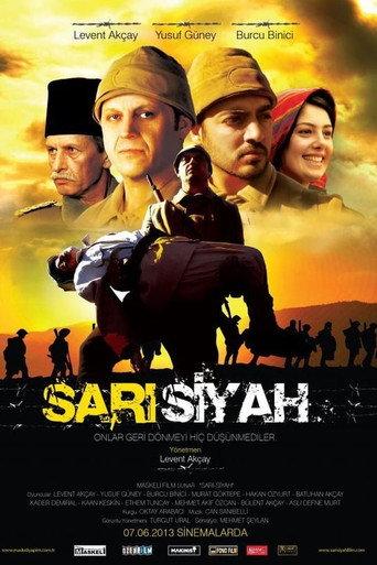 Sarı Siyah (2013) poster