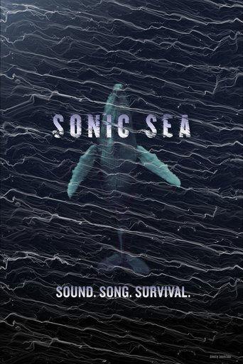 Sonic Sea (2016) poster
