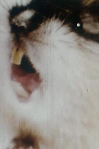 Lämmelår (1972) poster