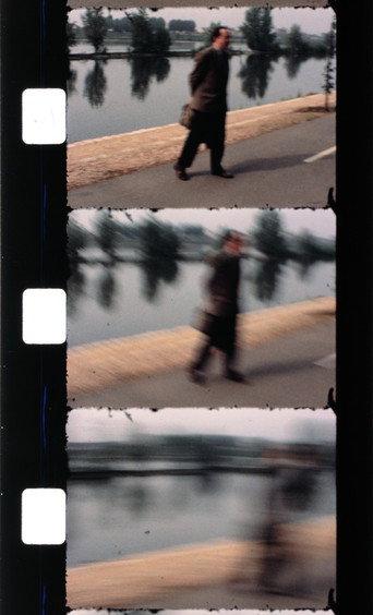 Effeuiller l'acanthe (1987) poster