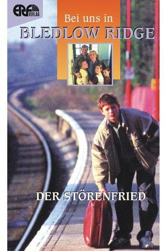 Der Störenfried (1994) poster
