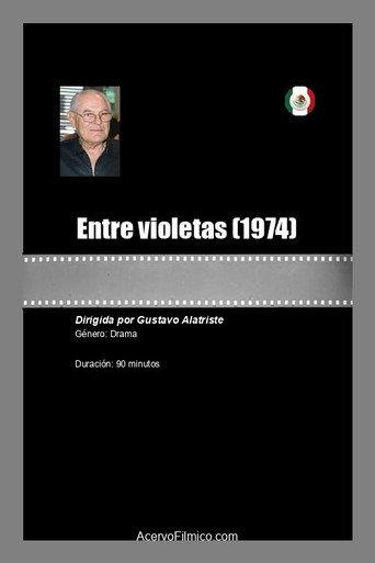 Entre violetas (1974) poster