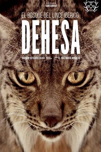 Dehesa: The Forest of the Iberian Lynx (2020) poster