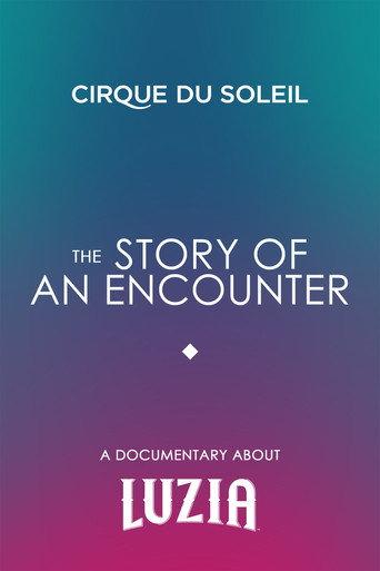 The Story Of An Encounter (2016) poster