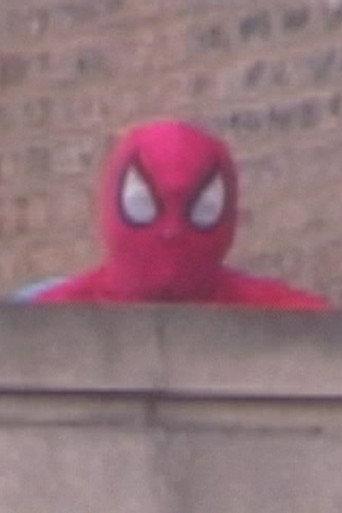 Comes Great Responsibility (2004) poster