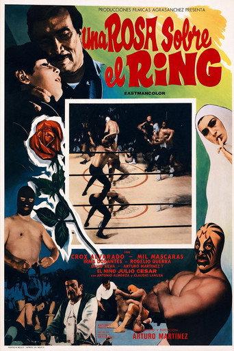 A Rose in the Ring (1973) poster