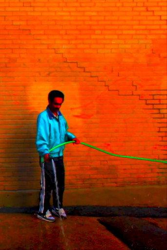 Light Buffer (2012) poster