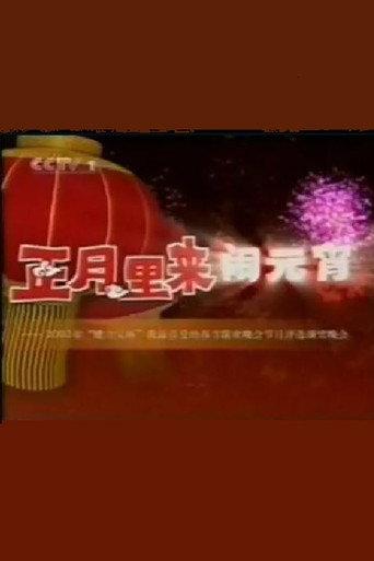 2003年中央电视台元宵晚会 (2003) poster