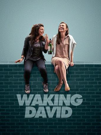 Waking David (2016) poster