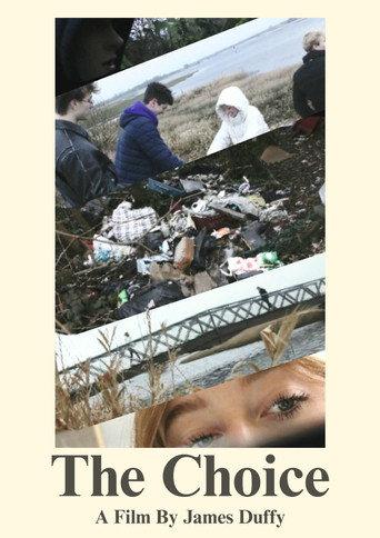The Choice: Illegal Dumping () poster