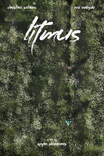 Litmus (2026) poster
