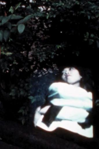 Summer is Gone (1978) poster