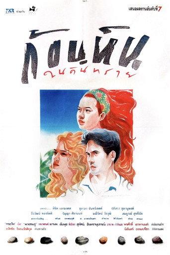 Stone in the Sands (1990) poster