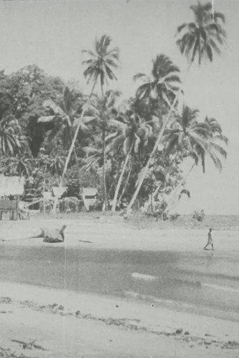 Bougainville (1935) poster