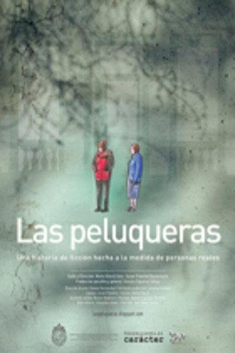 The Hairdressers (2007) poster