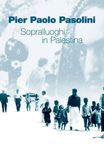 Scouting in Palestine (1965) poster