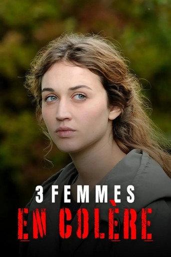 3 femmes en colère (2013) poster