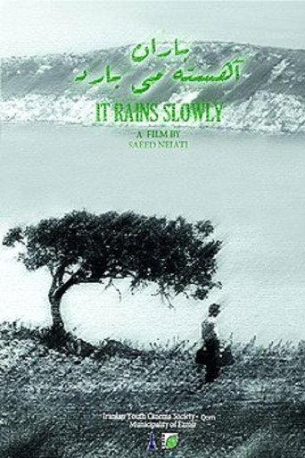It Rains Slowly (2017) poster