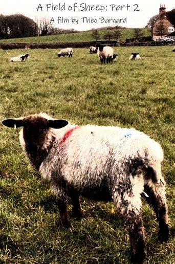 A Field of Sheep Part 2 (2024) poster
