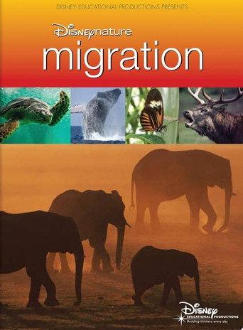 Disneynature: Migration (2009) poster