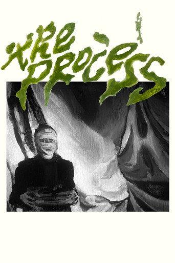 The Process () poster