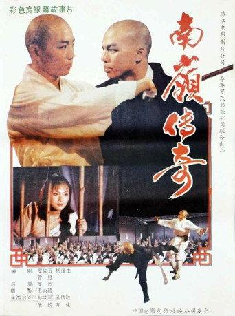南岭传奇 (1988) poster