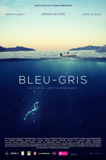 Blue-Grey (2017) poster