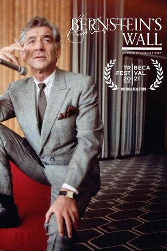 Bernstein's Wall (2026) poster