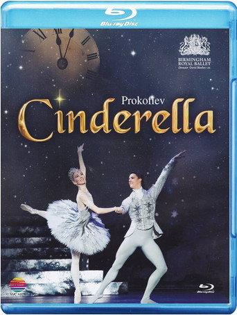 Cinderella (2010) poster