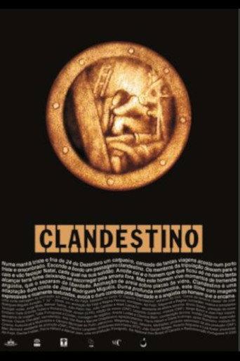 Stowaway (2000) poster