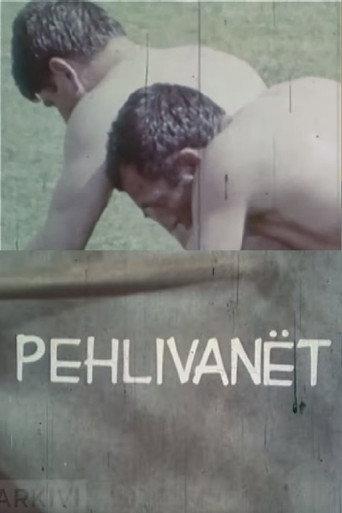 The Wrestlers (1975) poster