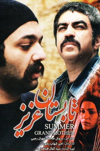 Summer of Grandmother (2009) poster