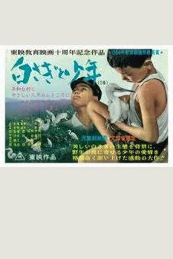 白さぎと少年 (1964) poster