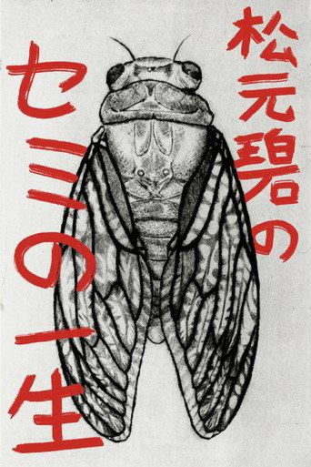 Midori Matsumoto’s: The Life Cycle Of A Cicada (2026) poster
