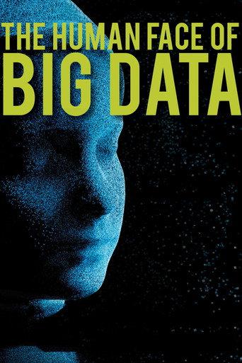 The Human Face of Big Data (2016) poster