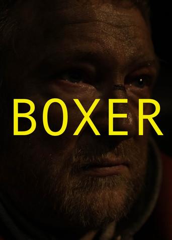 Boxer (2010) poster
