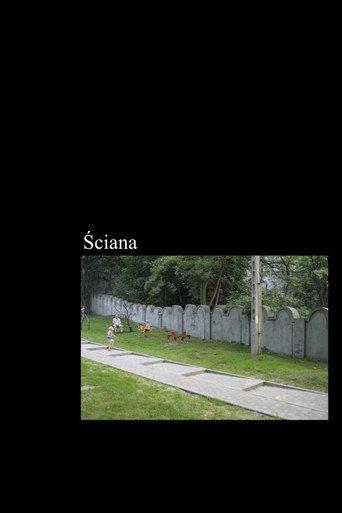 Ściana () poster
