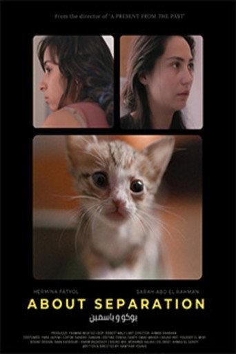 About Separation (2020) poster