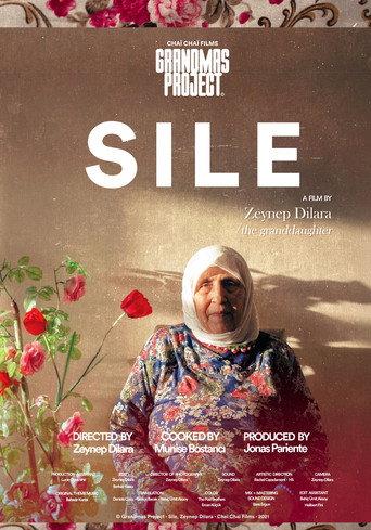 Şile (2022) poster