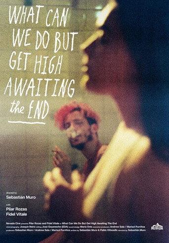 What Can We Do But Get High Awaiting the End (2026) poster